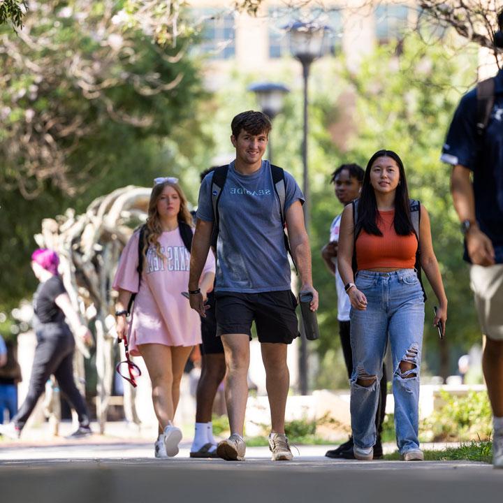 Enroll at Texas Tech University.